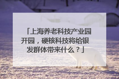 上海养老科技产业园开园，硬核科技将给银发群体带来什么？