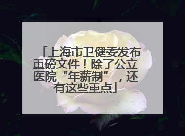 上海市卫健委发布重磅文件！除了公立医院“年薪制”，还有这些重点
