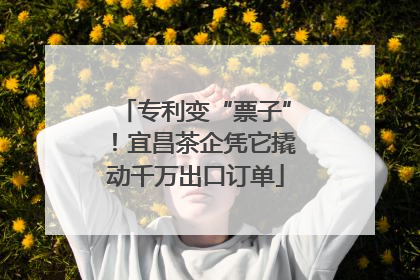 专利变“票子”！宜昌茶企凭它撬动千万出口订单