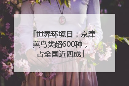 世界环境日：京津冀鸟类超600种，占全国近四成
