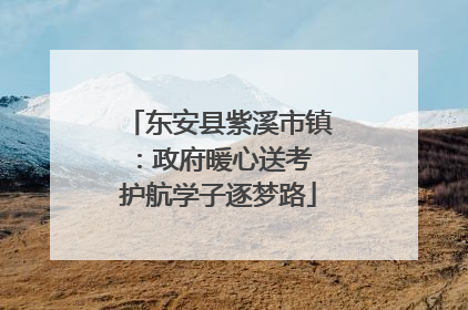东安县紫溪市镇：政府暖心送考 护航学子逐梦路