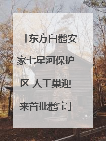 东方白鹳安家七星河保护区 人工巢迎来首批鹳宝