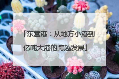 东营港：从地方小港到亿吨大港的跨越发展