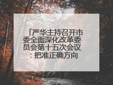严华主持召开市委全面深化改革委员会第十五次会议：把准正确方向 坚持守正创新