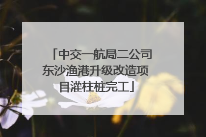 中交一航局二公司东沙渔港升级改造项目灌柱桩完工