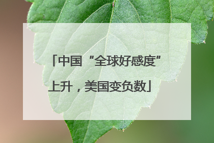 中国“全球好感度”上升，美国变负数