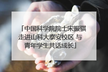 中国科学院院士宋振骐走进山科大泰安校区 与青年学生共话成长