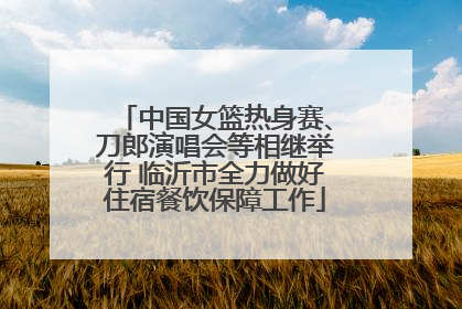 中国女篮热身赛、刀郎演唱会等相继举行 临沂市全力做好住宿餐饮保障工作