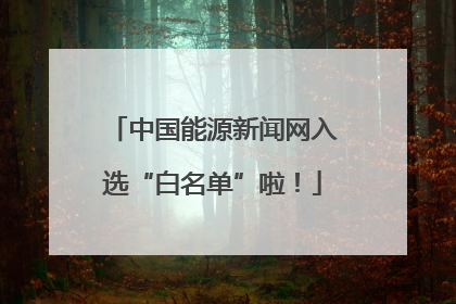 中国能源新闻网入选“白名单”啦！