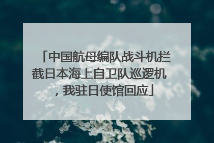中国航母编队战斗机拦截日本海上自卫队巡逻机，我驻日使馆回应