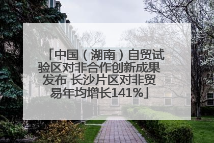 中国（湖南）自贸试验区对非合作创新成果发布 长沙片区对非贸易年均增长141%