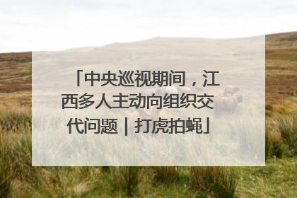 中央巡视期间，江西多人主动向组织交代问题｜打虎拍蝇