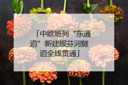 中欧班列“东通道”新建绥芬河隧道全线贯通