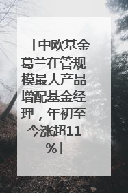 中欧基金葛兰在管规模最大产品增配基金经理，年初至今涨超11%