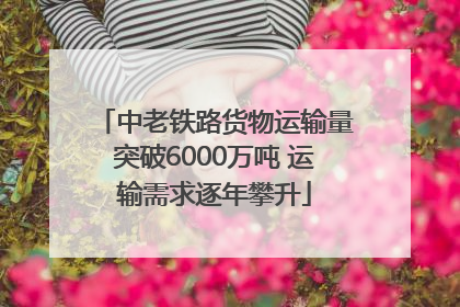 中老铁路货物运输量突破6000万吨 运输需求逐年攀升