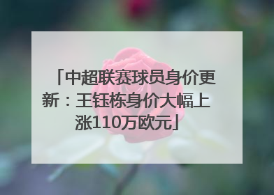 中超联赛球员身价更新：王钰栋身价大幅上涨110万欧元