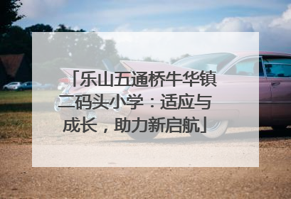 乐山五通桥牛华镇二码头小学：适应与成长，助力新启航