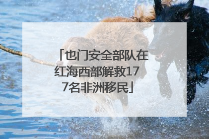 也门安全部队在红海西部解救177名非洲移民