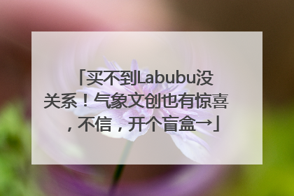 买不到Labubu没关系！气象文创也有惊喜，不信，开个盲盒→