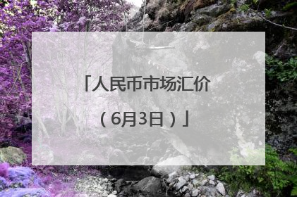 人民币市场汇价（6月3日）