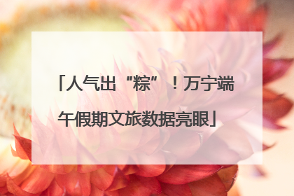 人气出“粽”！万宁端午假期文旅数据亮眼