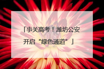 事关高考！潍坊公安开启“绿色通道”