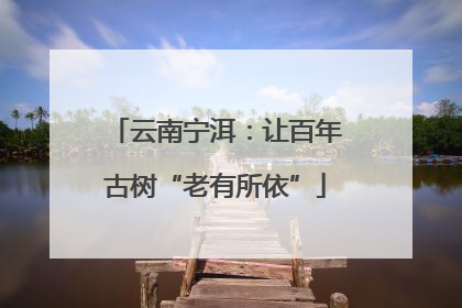 云南宁洱：让百年古树“老有所依”