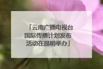 云南广播电视台国际传播计划发布活动在昆明举办