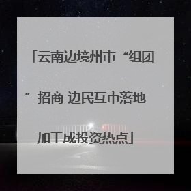 云南边境州市“组团”招商 边民互市落地加工成投资热点