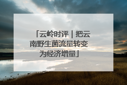 云岭时评｜把云南野生菌流量转变为经济增量