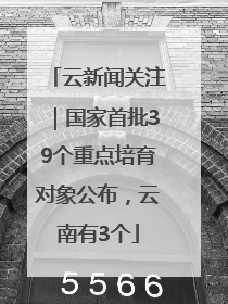 云新闻关注｜国家首批39个重点培育对象公布，云南有3个