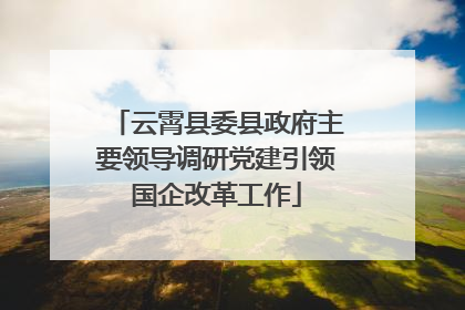 云霄县委县政府主要领导调研党建引领国企改革工作
