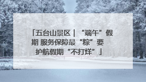 五台山景区｜“端午”假期 服务保障最“粽”要 护航假期“不打烊”