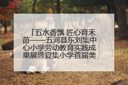 五水香飘 匠心育禾苗——五河县东刘集中心小学劳动教育实践成果展暨夏集小学首届美食节盛大举行