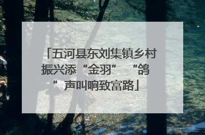 五河县东刘集镇乡村振兴添“金羽” “鸽”声叫响致富路