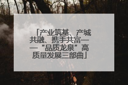 产业筑基、产城共融、携手共富——“品质龙泉”高质量发展三部曲