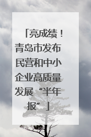 亮成绩！青岛市发布民营和中小企业高质量发展“半年报”