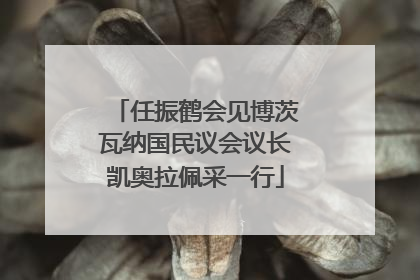 任振鹤会见博茨瓦纳国民议会议长凯奥拉佩采一行