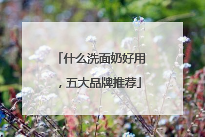 什么洗面奶好用，五大品牌推荐