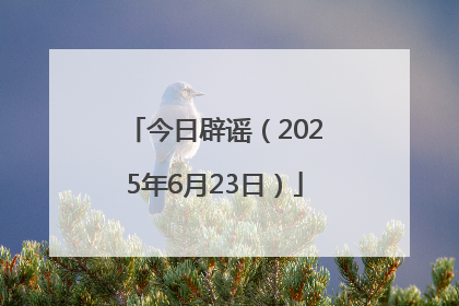 今日辟谣（2025年6月23日）