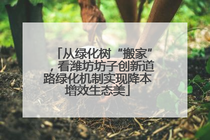 从绿化树“搬家”，看潍坊坊子创新道路绿化机制实现降本增效生态美
