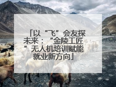 以“飞”会友探未来：“金陵工匠”无人机培训赋能就业新方向