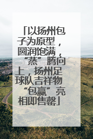 以扬州包子为原型，圆润饱满，“蒸”腾向上，扬州足球队吉祥物“包赢”亮相即售罄