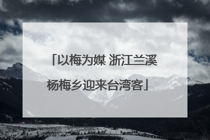 以梅为媒 浙江兰溪杨梅乡迎来台湾客