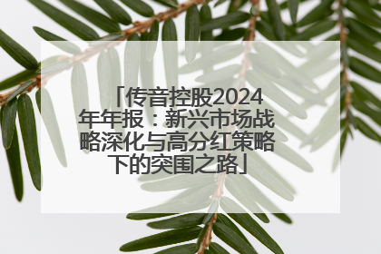 传音控股2024年年报：新兴市场战略深化与高分红策略下的突围之路