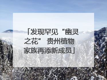 发现罕见“幽灵之花” 贵州植物家族再添新成员