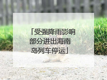 受强降雨影响 部分进出海南岛列车停运