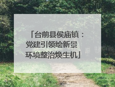 台前县侯庙镇：党建引领绘新景 环境整治焕生机