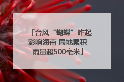 台风“蝴蝶”昨起影响海南 局地累积雨量超500毫米