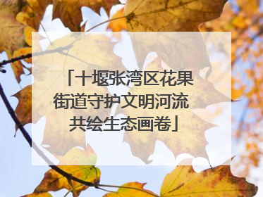 十堰张湾区花果街道守护文明河流 共绘生态画卷